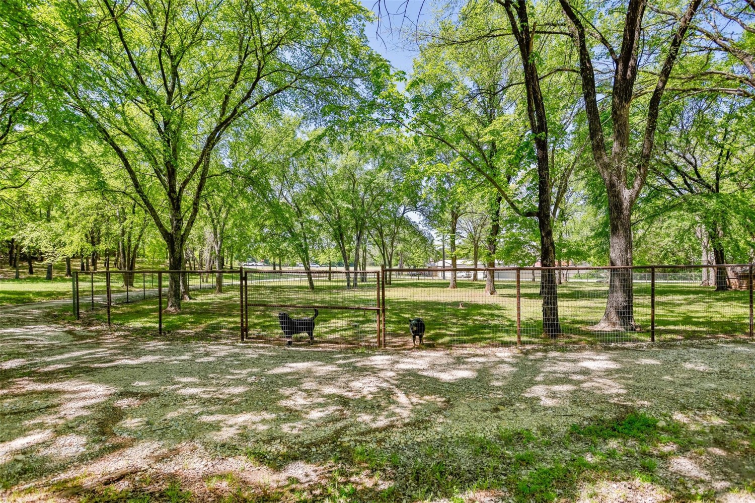 Elfyer - Whitesboro, TX House - For Sale