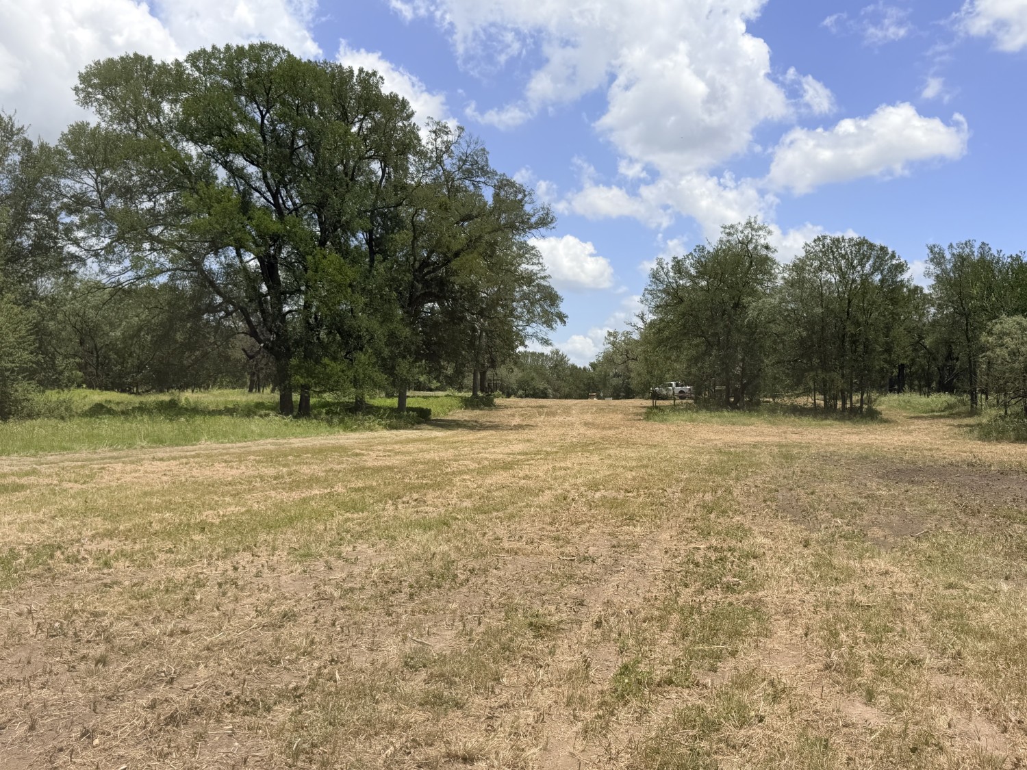 Elfyer - Luling, TX House - For Sale