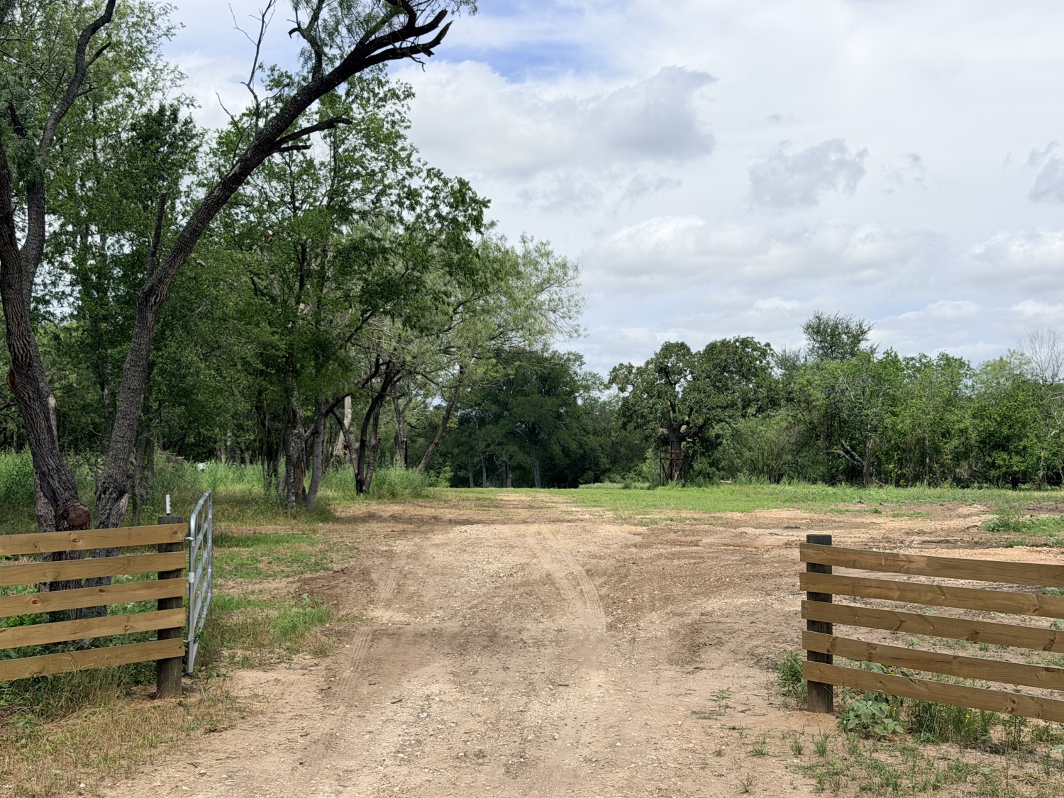 Elfyer - Luling, TX House - For Sale