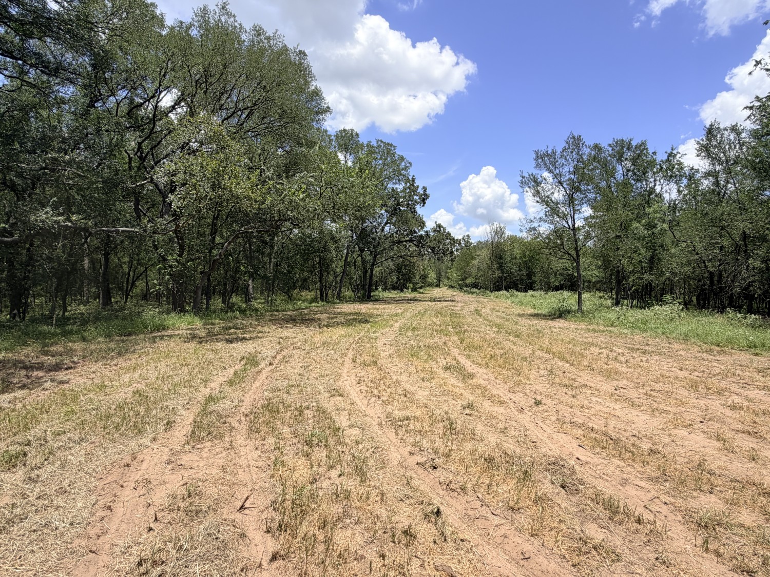 Elfyer - Luling, TX House - For Sale