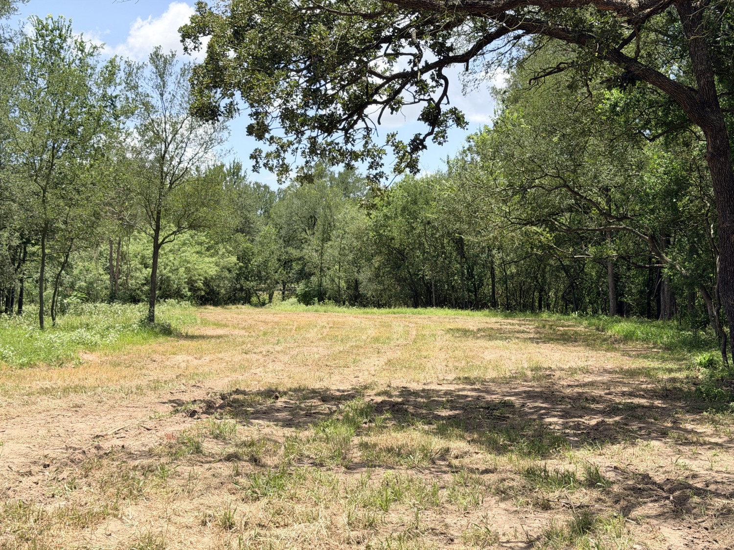 Elfyer - Luling, TX House - For Sale