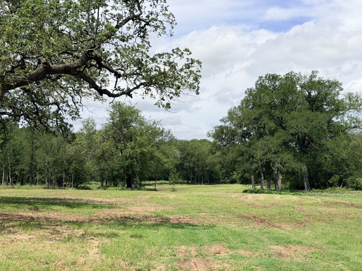 Elfyer - Luling, TX House - For Sale