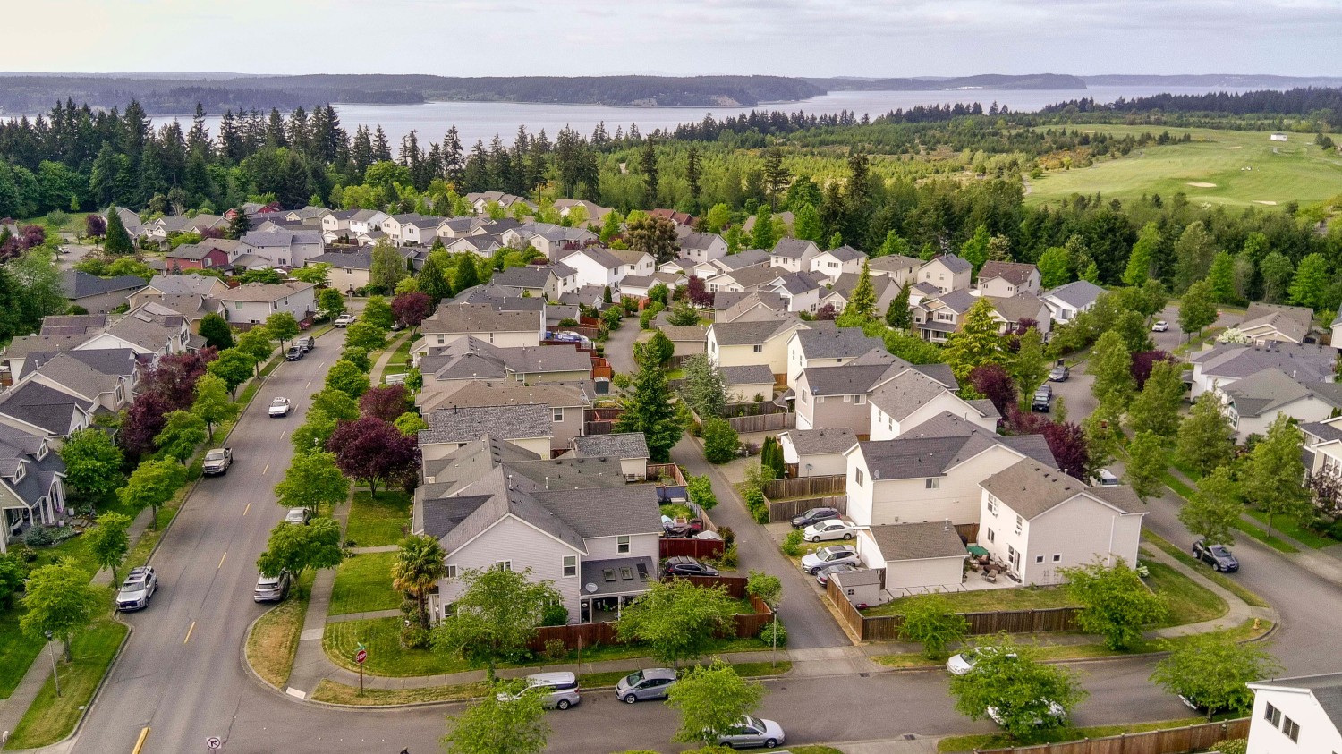 Elfyer - Dupont, WA House - For Sale