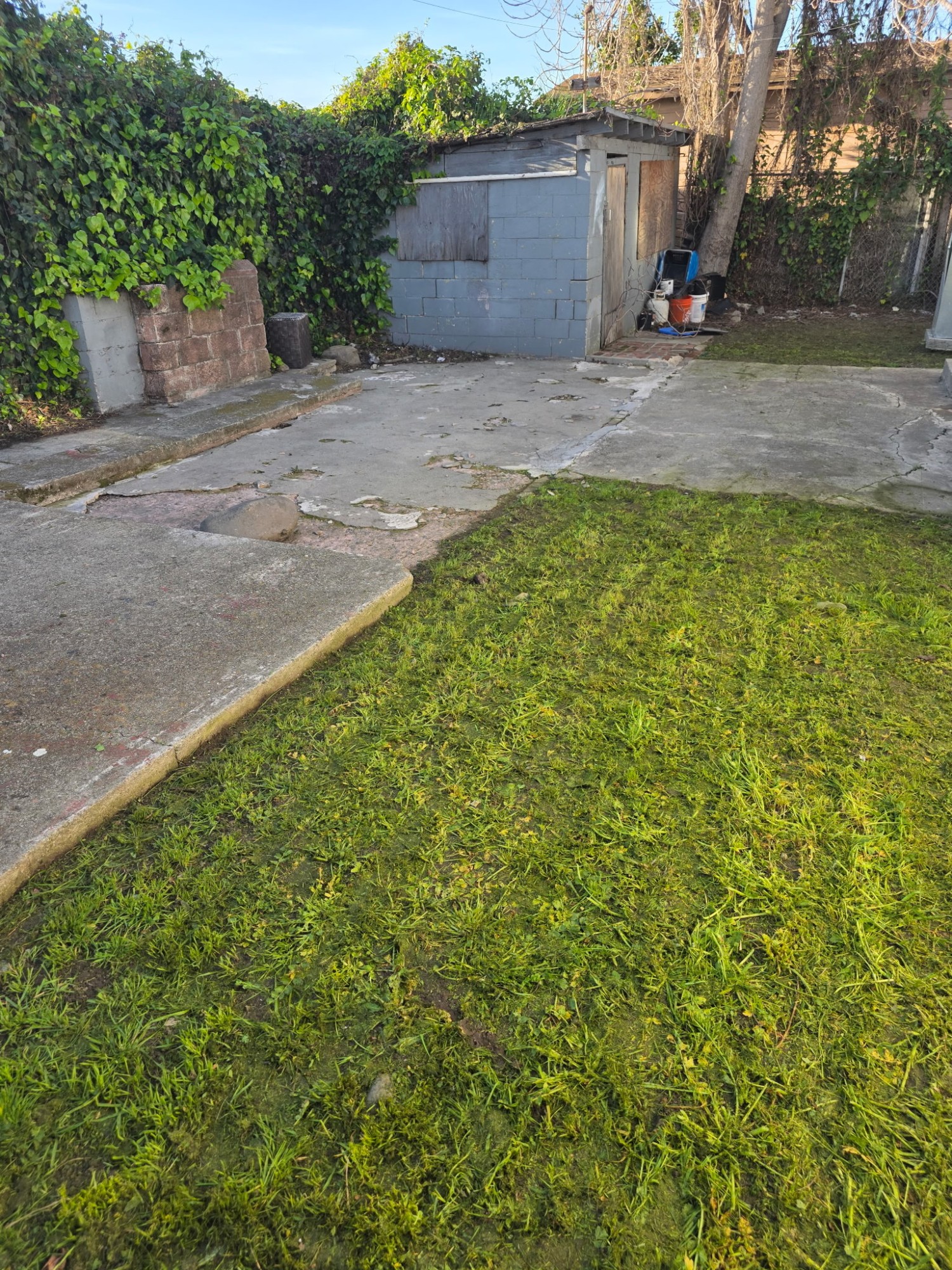 Elfyer - Oakland, CA House - For Sale